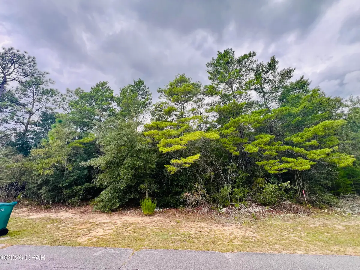 Lot 6 Oxford Avenue, Chipley, FL 32428 - #1