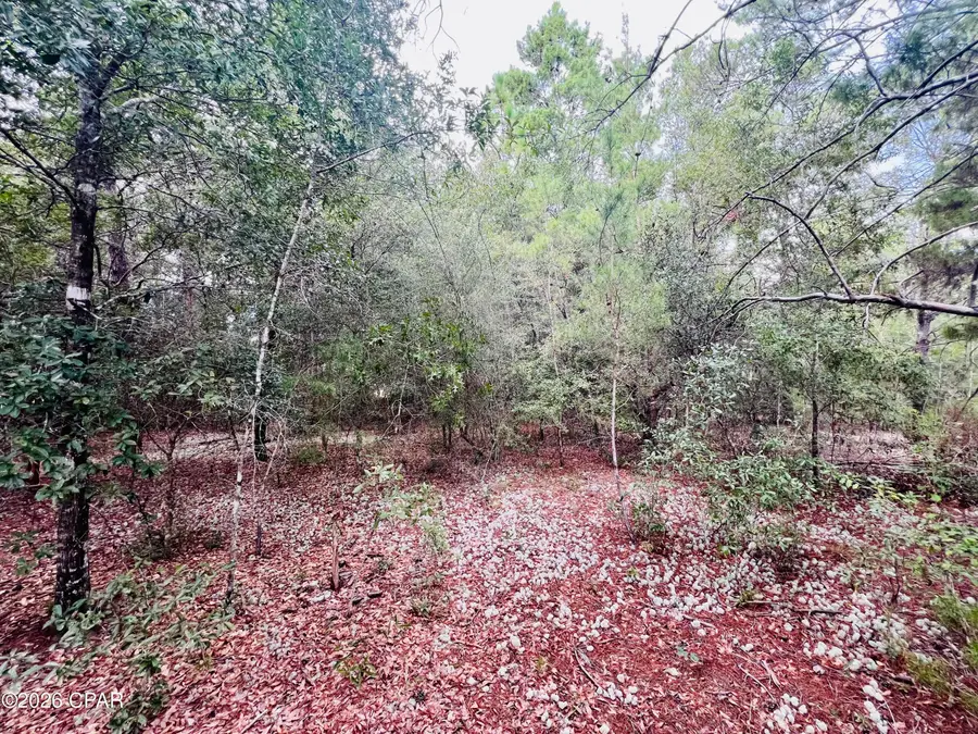 Lot 6 Oxford Avenue, Chipley, FL 32428 - #2