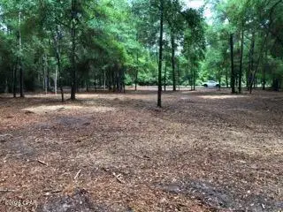 4954 Derby Drive, Chipley, FL 32428 - #1