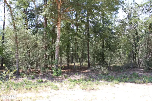 TBD Monogahela Avenue, Alford, FL 32420