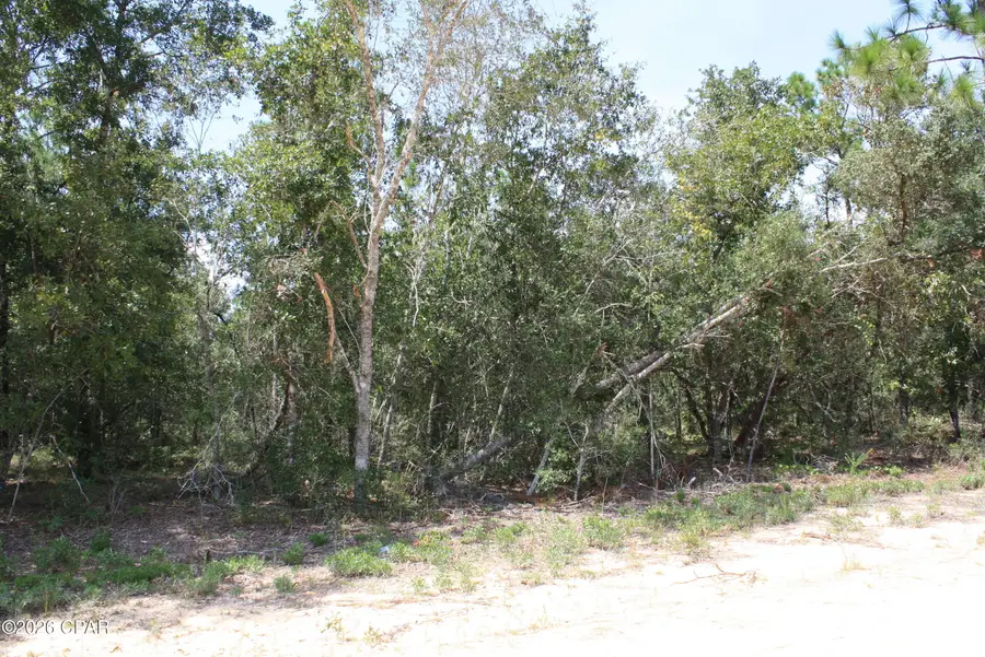 TBD Monogahela Avenue, Alford, FL 32420 - #2