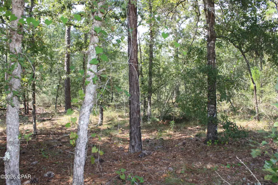 TBD Monogahela Avenue, Alford, FL 32420 - #3
