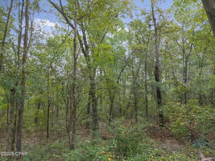 Lot 23 Remington Place, Bonifay, FL 32425 - #2