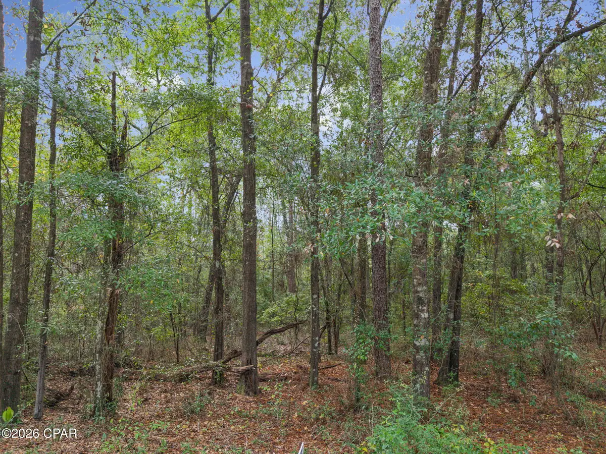 Lot 24 Remington Place, Bonifay, FL 32425 - #1
