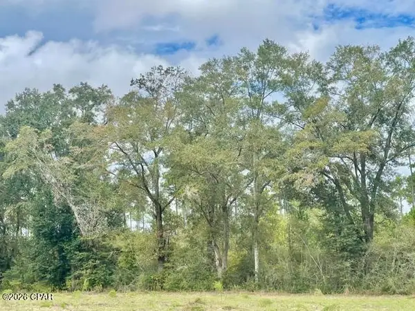 3359 Woodrest Road, Cottondale, FL 32431