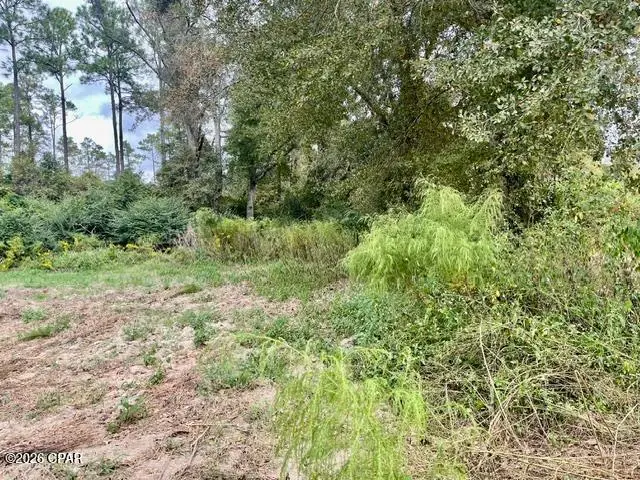 3359 Woodrest Road, Cottondale, FL 32431 - #2
