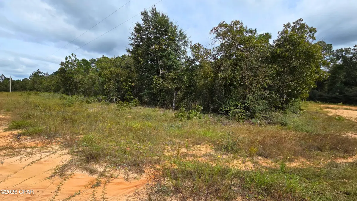 0 Flower Court, Marianna, FL 32448 - #1