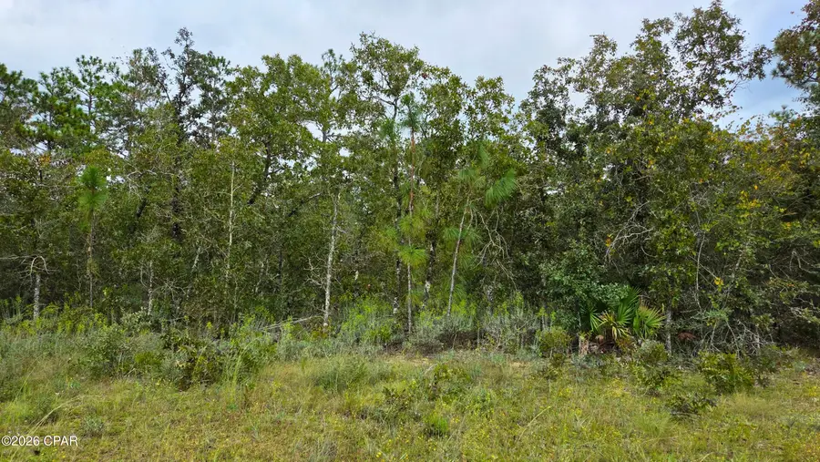 0 Flower Court, Marianna, FL 32448 - #3