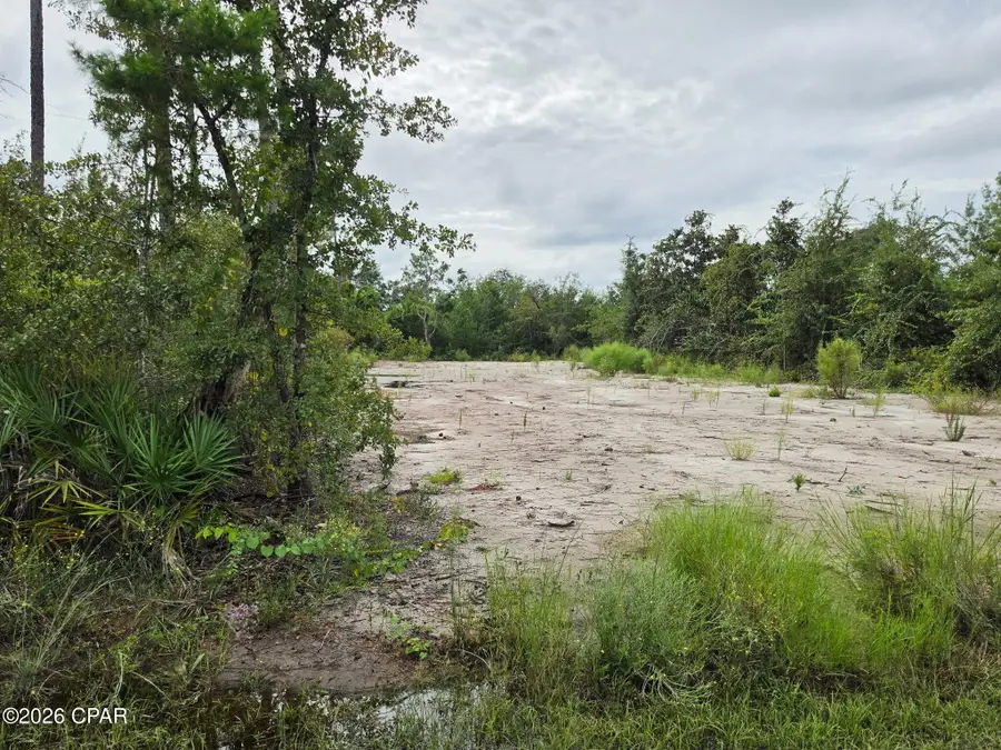 404 Hickory Bluff Circle, Southport, FL 32409 - #3