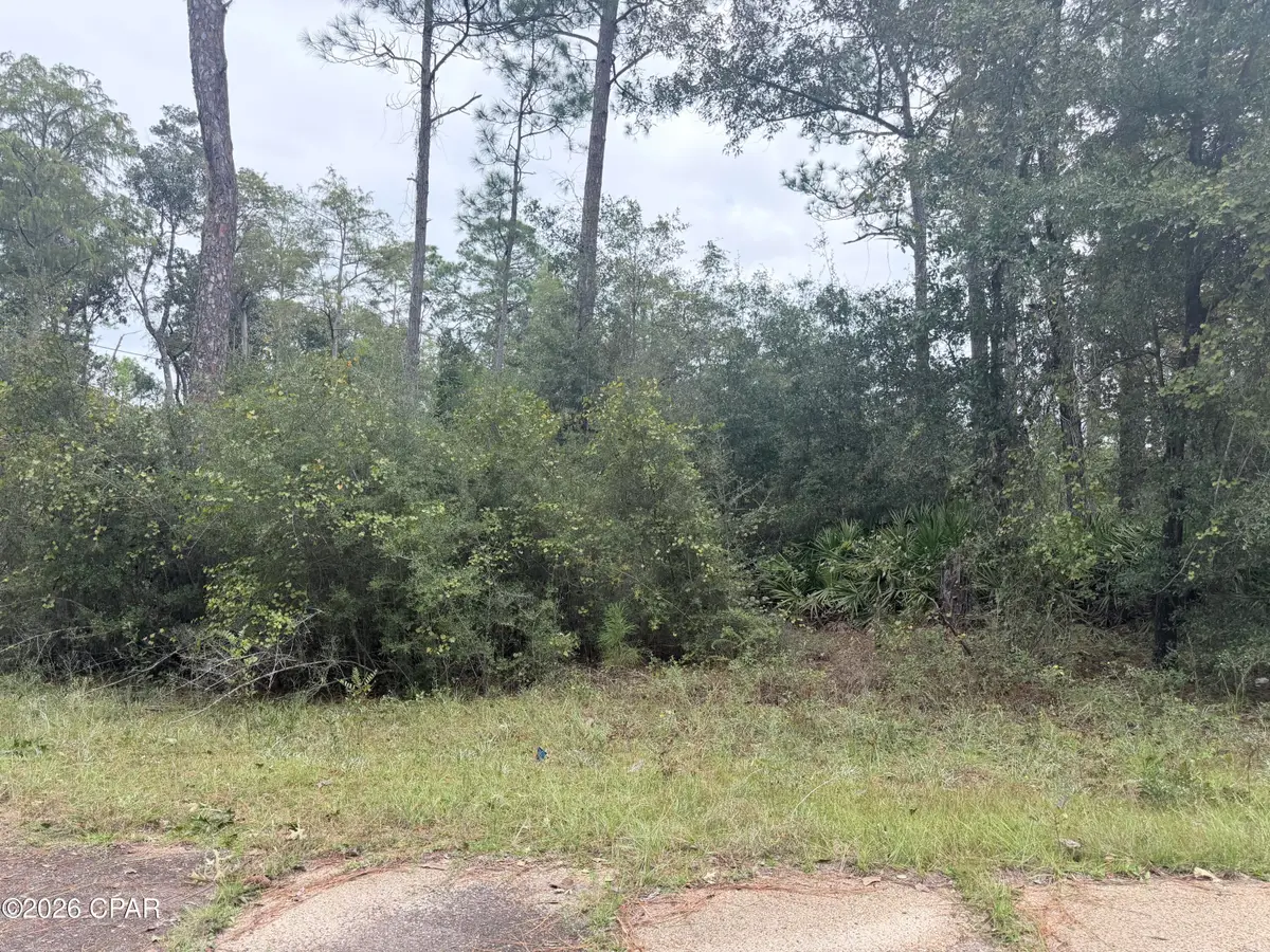 Lot 1 Wellington Place, Chipley, FL 32428 - #1