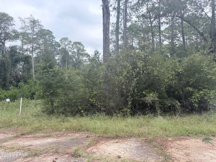 Lot 1 Wellington Place, Chipley, FL 32428 - #2