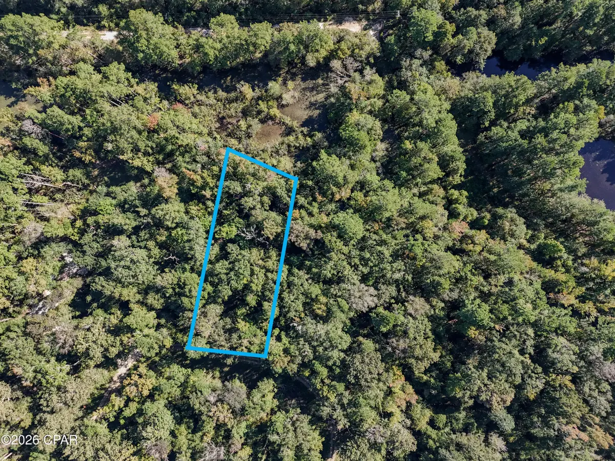 238 Riverside Circle, Wewahitchka, FL 32465 - #1