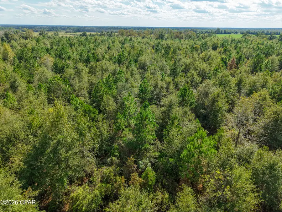 0 Bradley Road, Marianna, FL 32448 - #3