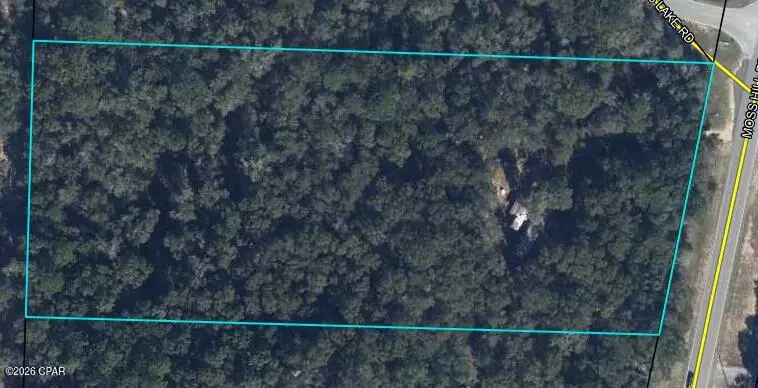 4560 Moss Hill Road, Chipley, FL 32428 - #1