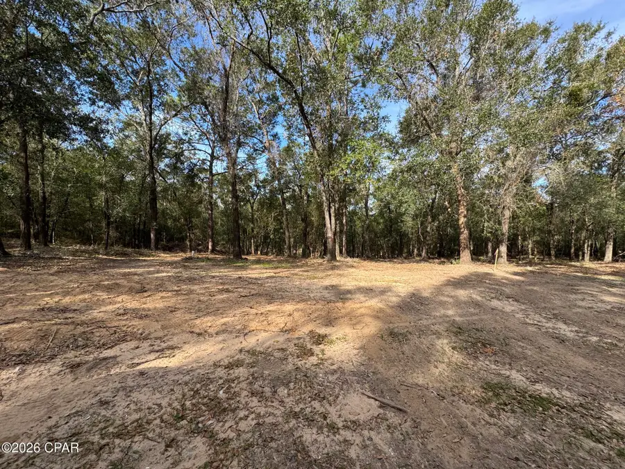 4560 Moss Hill Road, Chipley, FL 32428 - #2