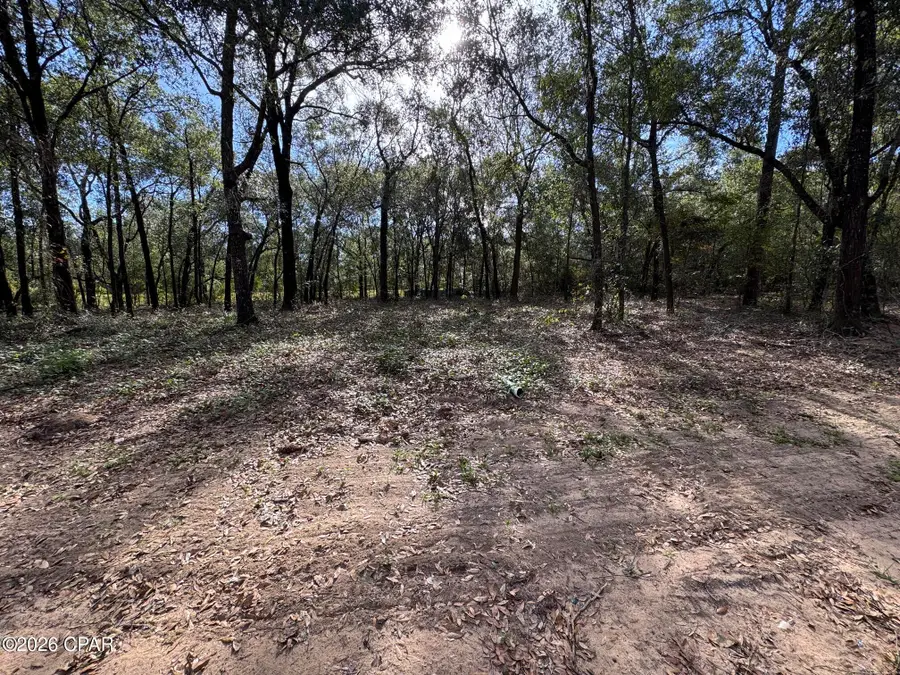 4560 Moss Hill Road, Chipley, FL 32428 - #3