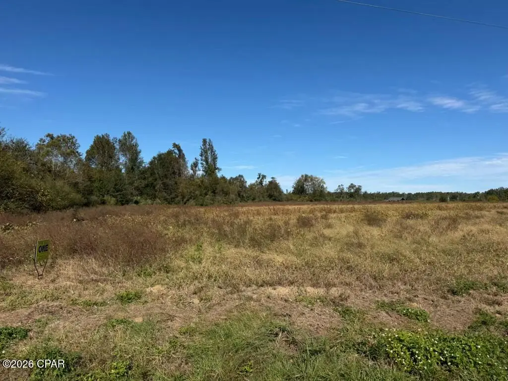 0000 SE Clayton Road, Chipley, FL 32428 - #1