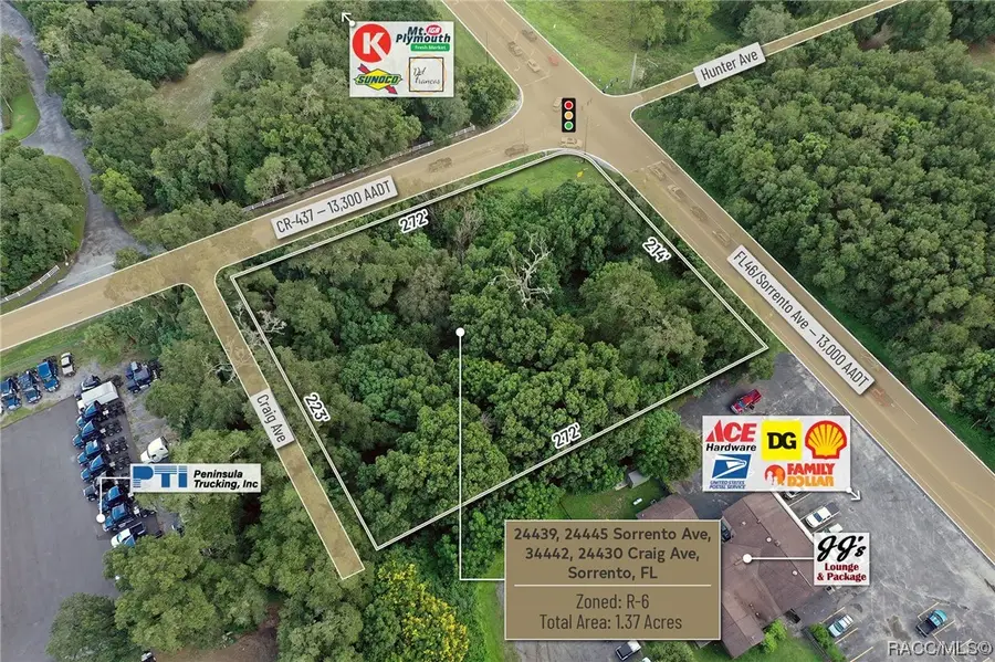 24439 Sorrento Avenue, Sorrento, FL 32776 - Image #3