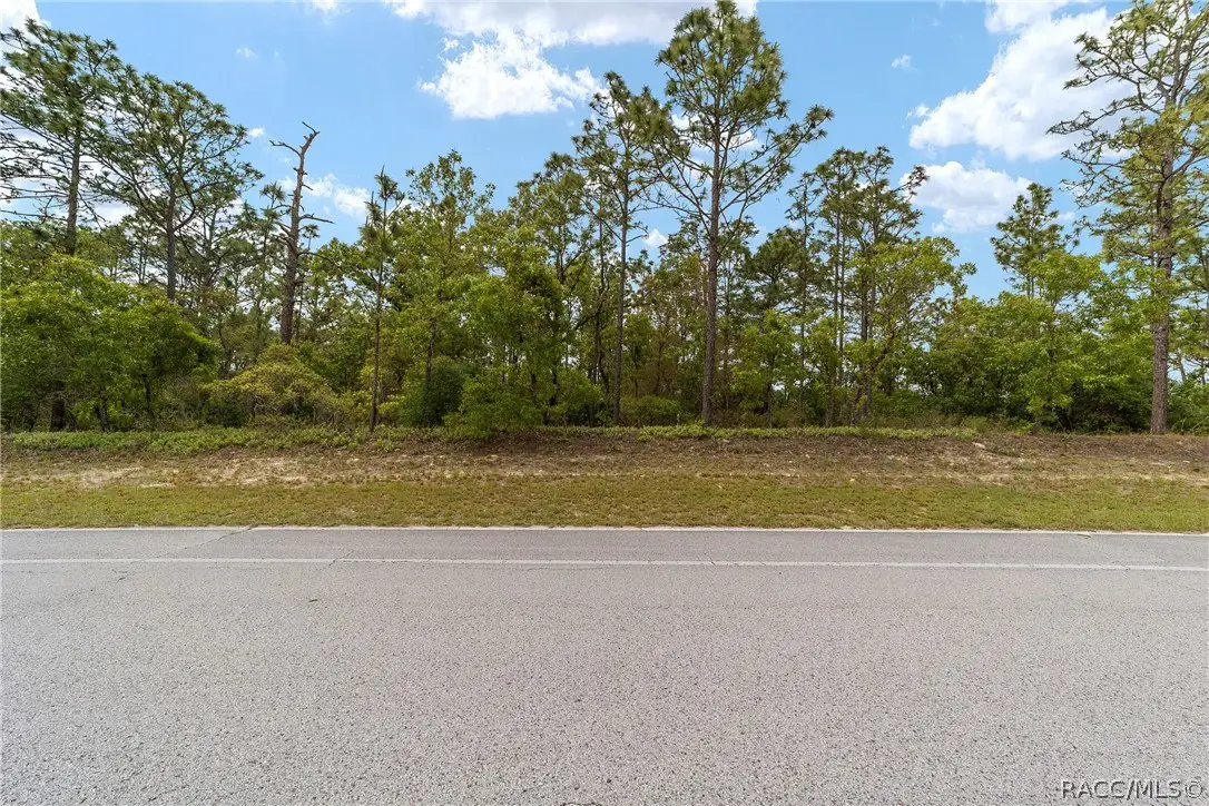 9200 N Citrus Springs Boulevard, Citrus Springs, FL 34433 - #1
