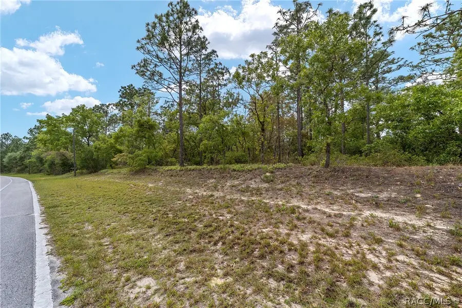 9200 N Citrus Springs Boulevard, Citrus Springs, FL 34433 - #3