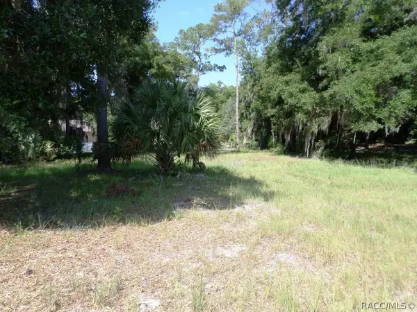 00 Blue Heron Court, Dunnellon, FL 34432