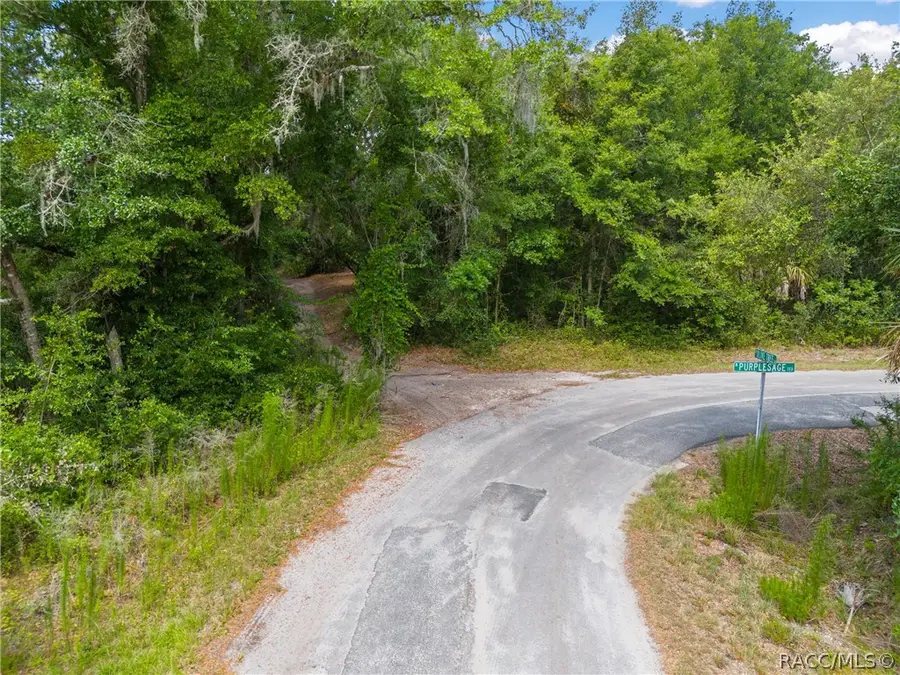 12180 W Olive Tree Lane, Crystal River, FL 34428 - #3