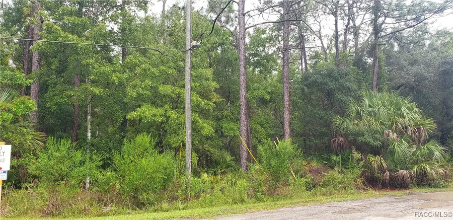 1179 N Tessa Terrace, Crystal River, FL 34429 - #2