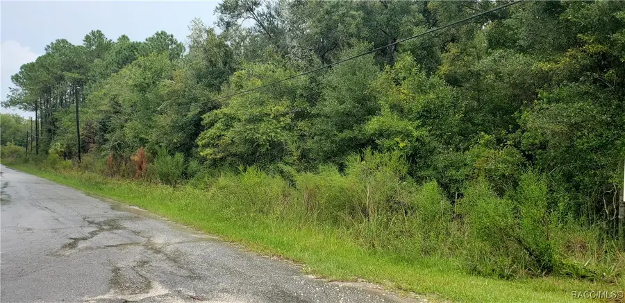 1179 N Tessa Terrace, Crystal River, FL 34429 - #3