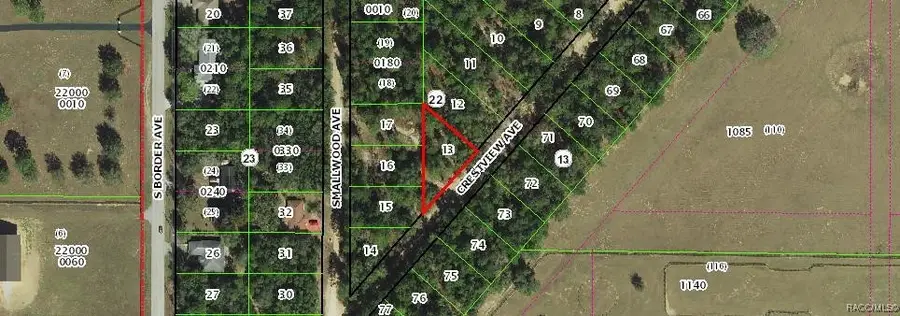 318 S Crestview Avenue, Inverness, FL 34452 - #2