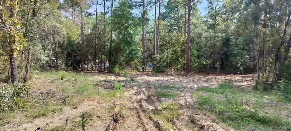 1108 E Van Gogh Court, Hernando, FL 34442