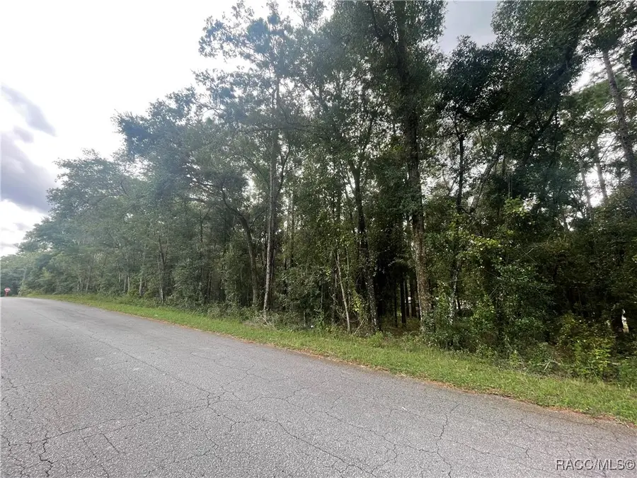 6534 Kent Street, Inverness Highlands South, FL 35542 - #3