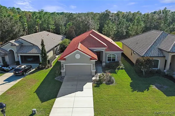 1454 W Laurel Glen Path, Hernando, FL 34442