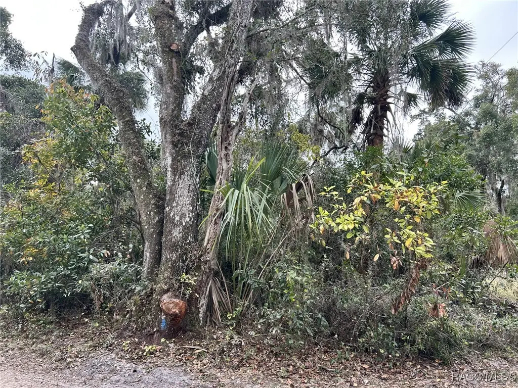 800 N Sweet Gum Way, Inverness, FL 34453 - Image #1