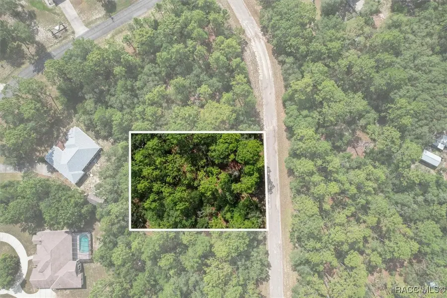 3621 W Norwick Place, Dunnellon, FL 34433 - #3