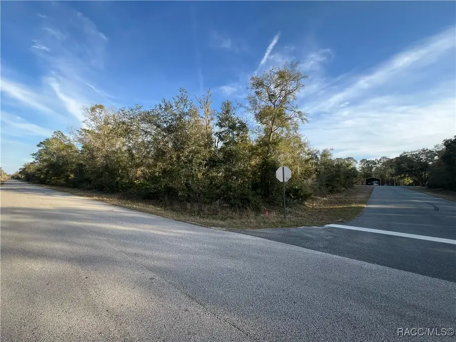 9919 N Pink Moss Point, Crystal River, FL 34428 - #2