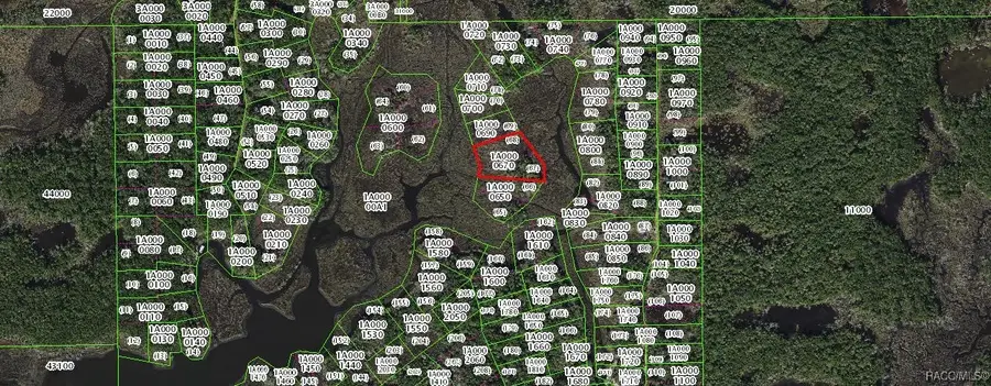 13387 Sportsmans Island, Homosassa, FL 34429 - Image #3