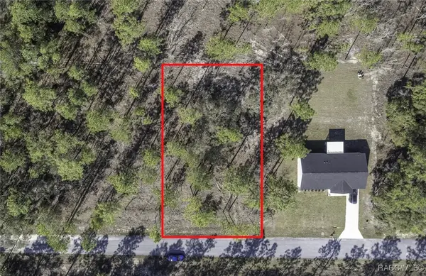 TBD NW Redwing Road, Dunnellon, FL 34431