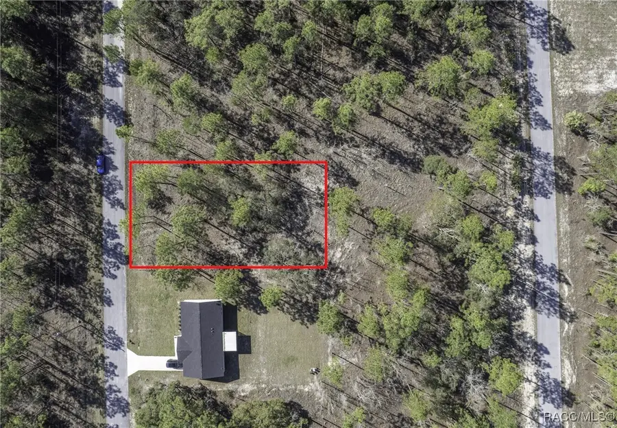 TBD NW Redwing Road, Dunnellon, FL 34431 - Image #2