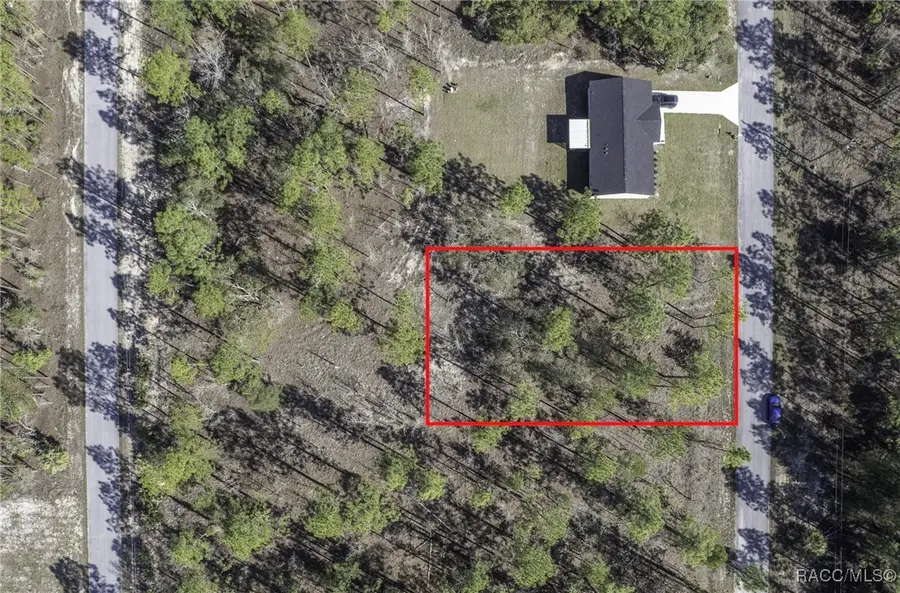 TBD NW Redwing Road, Dunnellon, FL 34431 - Image #3