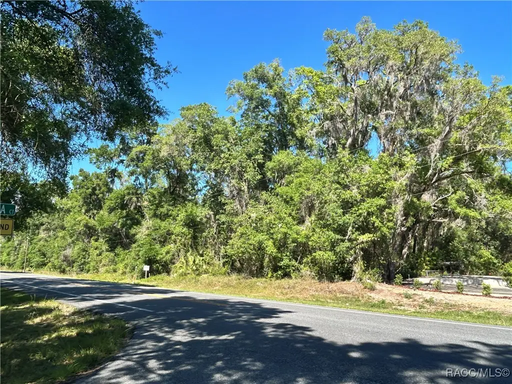 9319 S Florida Avenue, Floral City, FL 34436 - #1