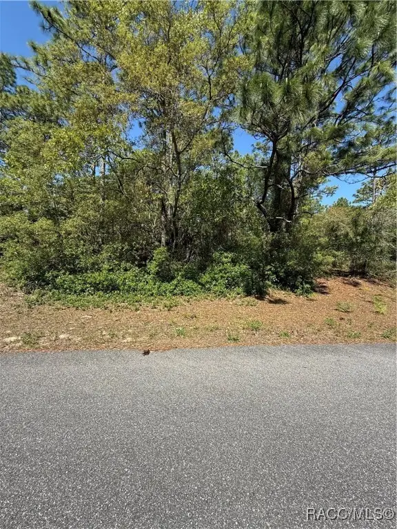 6526 N Shafton Terrace, Dunnellon, FL 34433