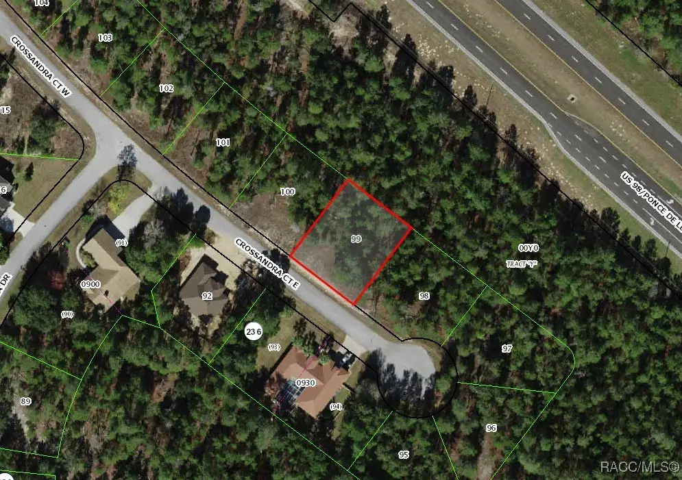 7 Crossandra Court E, Homosassa, FL 34446 - #1