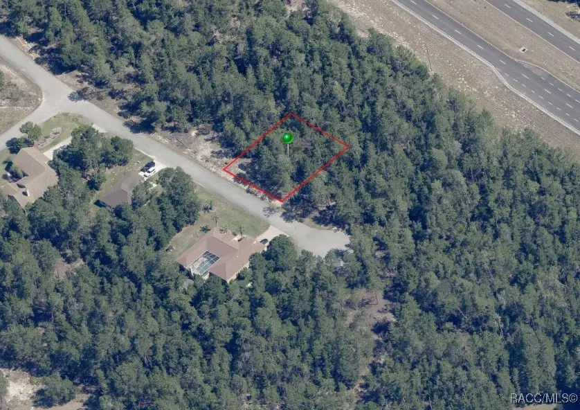 7 Crossandra Court E, Homosassa, FL 34446 - #2