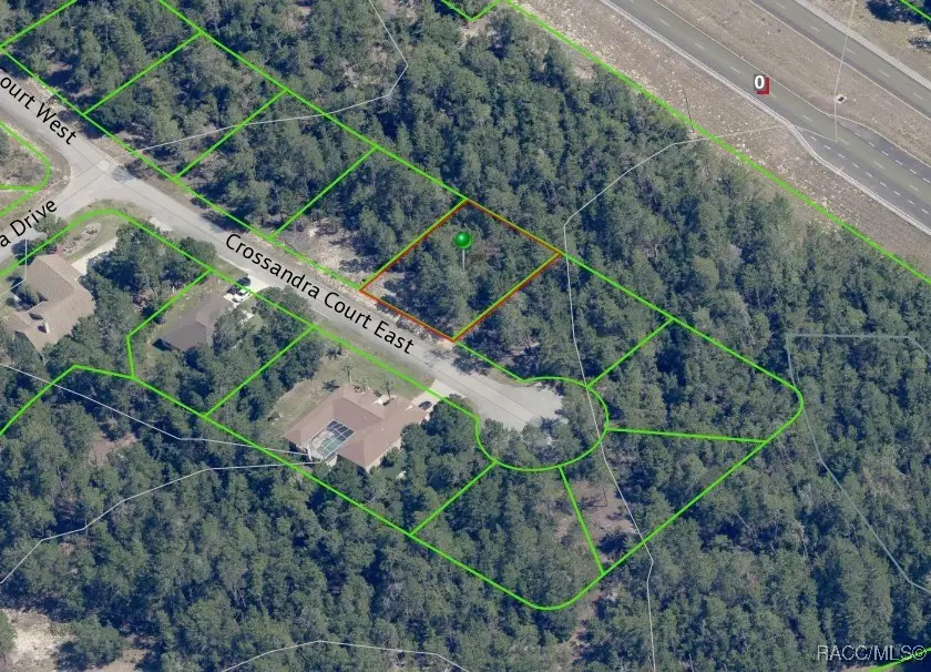 7 Crossandra Court E, Homosassa, FL 34446 - #3