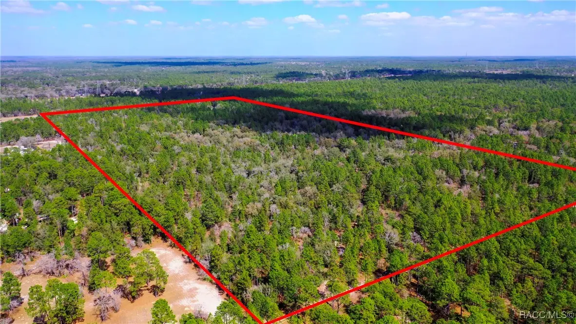 7137 W Sunmar Sample Lane, Dunnellon, FL 34433 - #1