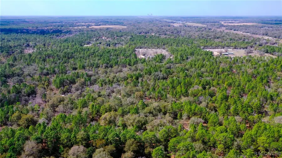 7137 W Sunmar Sample Lane, Dunnellon, FL 34433 - #3