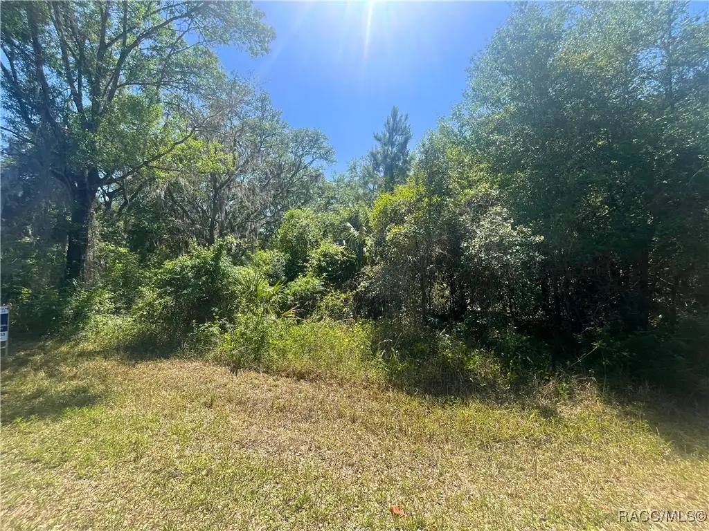 6610 N Shorewood Drive, Hernando, FL 34442 - #1