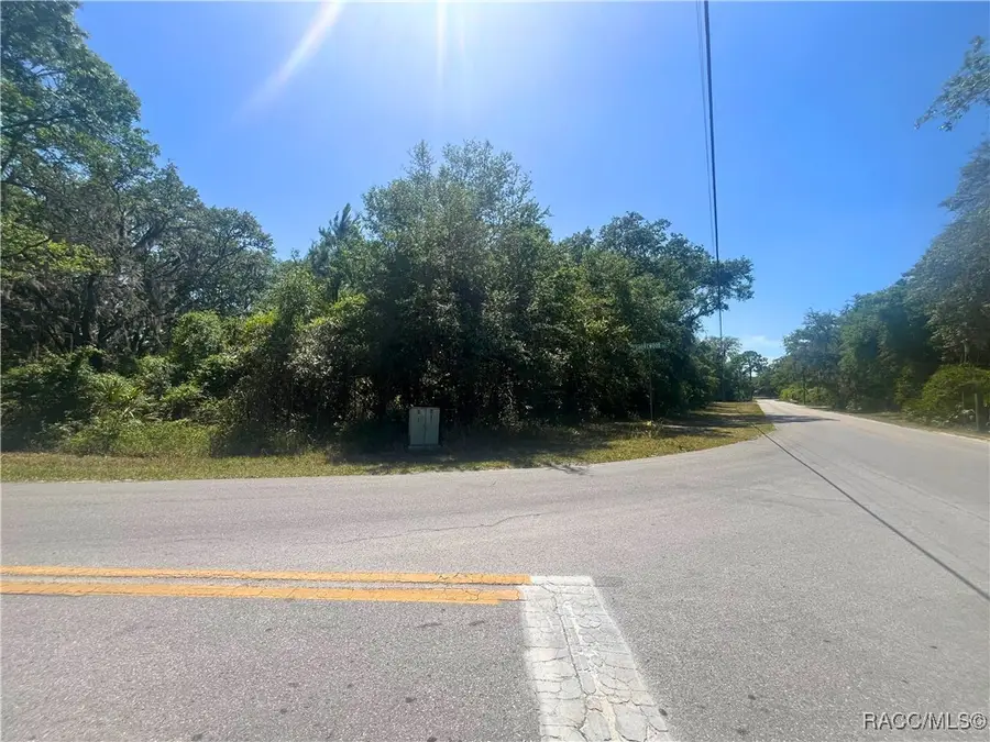 6610 N Shorewood Drive, Hernando, FL 34442 - #2