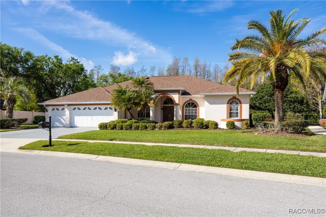 21312 Preservation Drive, Land O Lakes, FL 34638 - Image #1