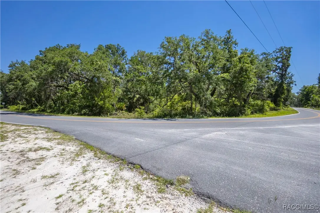 105 NE 239 Avenue, Old Town, FL 32680 - #1